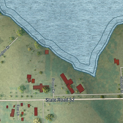 Close-up 2 of the St. Leo, Florida map artwork