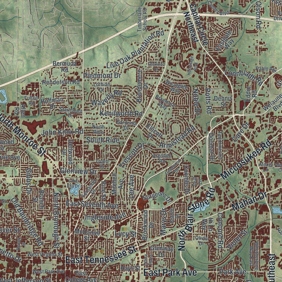 Close-up 1 of the Tallahassee, Florida map artwork