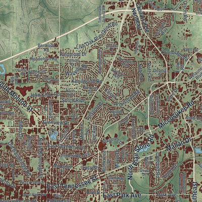 Close-up 1 of the Tallahassee, Florida map artwork
