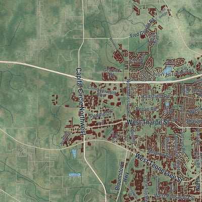 Close-up 2 of the Tallahassee, Florida map artwork