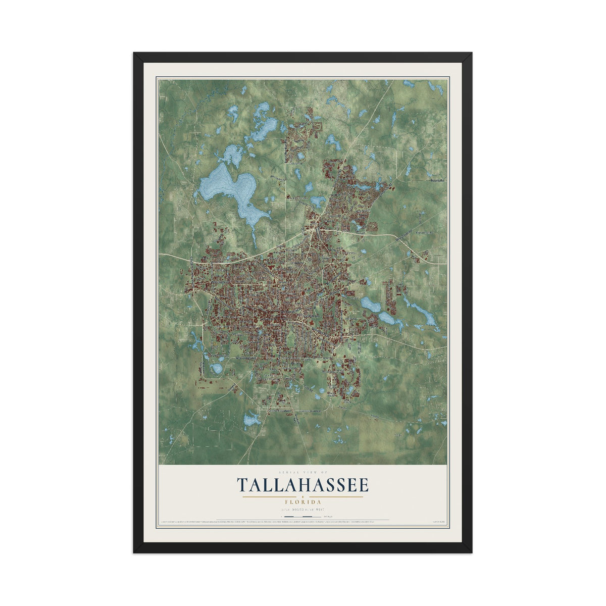 Tallahassee, Florida map print, 12" x 18" W/ Black Ayous Wood Frame mockup