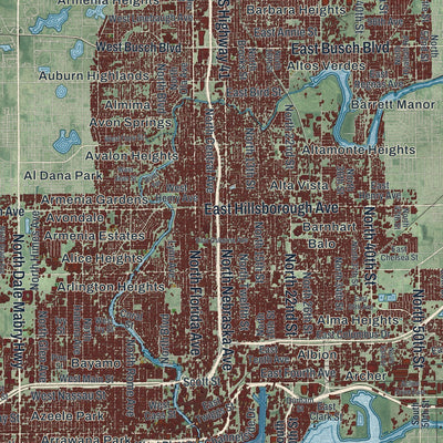 Close-up 1 of the Tampa, Florida map artwork