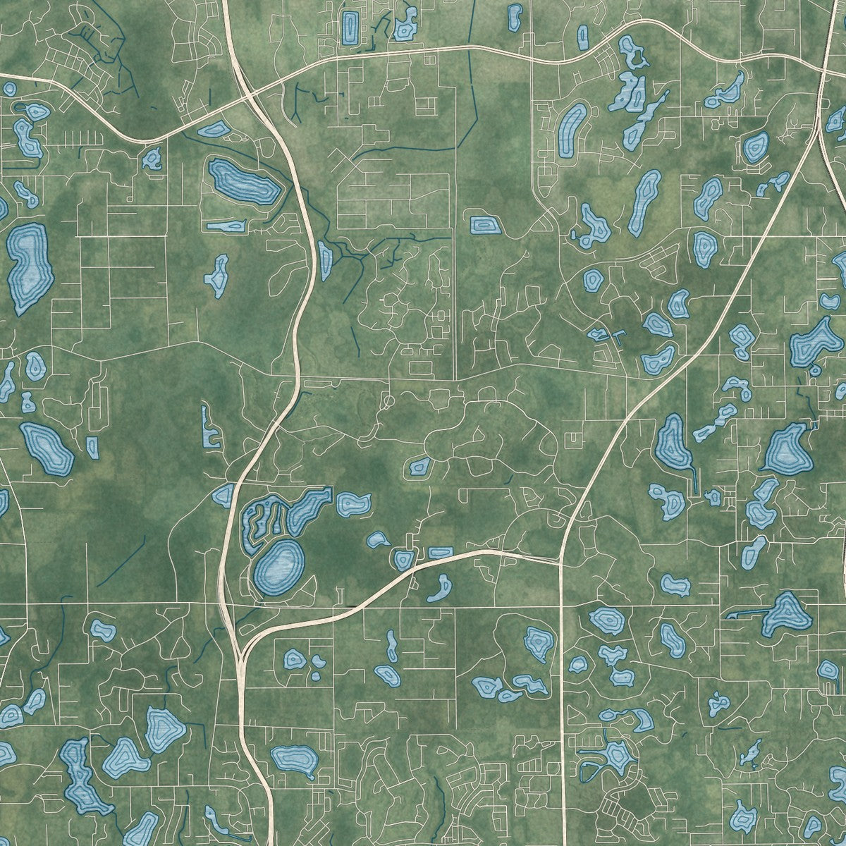 Close-up 2 of the Tampa, Florida map artwork