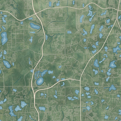 Close-up 2 of the Tampa, Florida map artwork