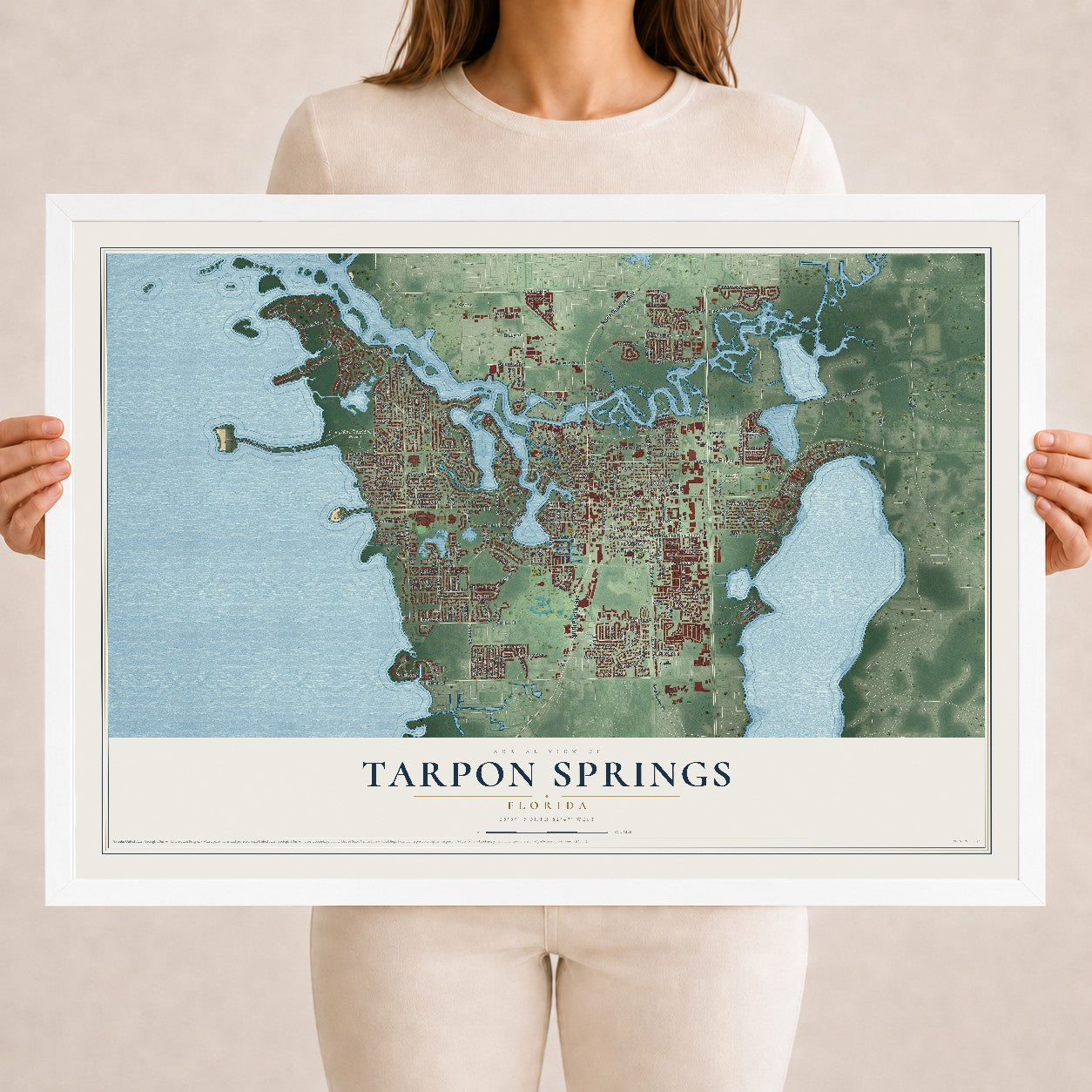 Tarpon Springs, Florida map print, 18" x 24" W/ White Ayous Wood Frame mockup