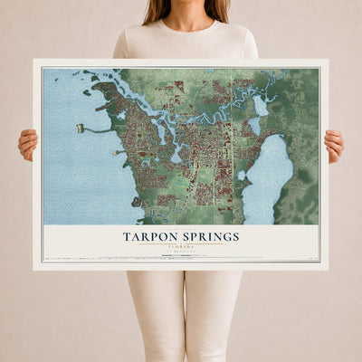 Tarpon Springs, Florida map print, 24" x 36" Archival Matte Print mockup