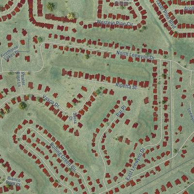 Close-up of the map of Tatum, Florida print showing street and building detail