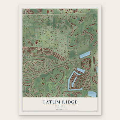 Tatum Ridge, Florida map print, the full design