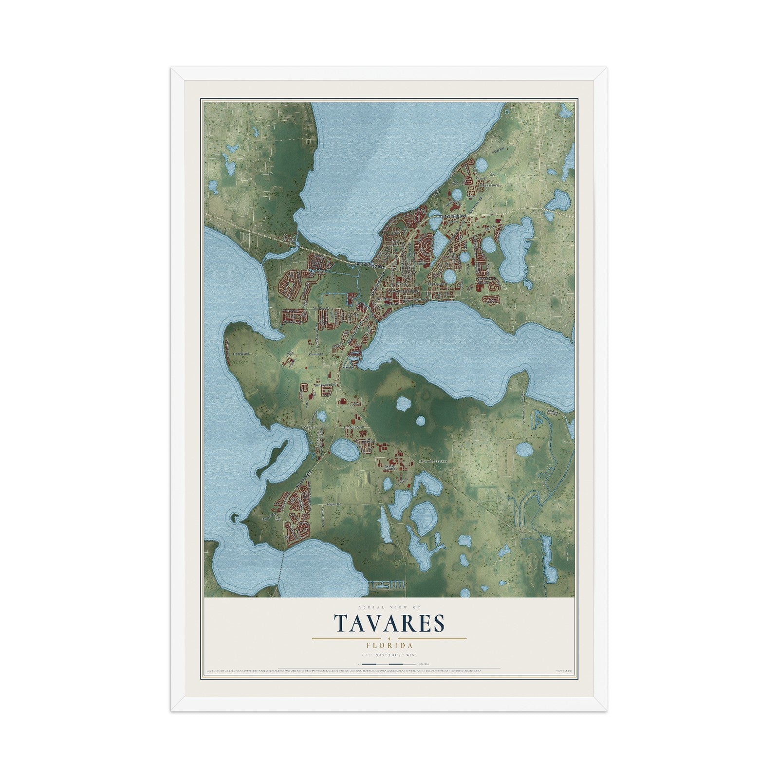 Tavares, Florida map print, 12" x 18" W/ White Ayous Wood Frame mockup