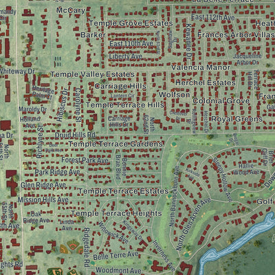 Close-up 1 of the Temple Terrace, Florida map artwork