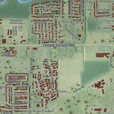 Close-up 2 of the Temple Terrace, Florida map artwork