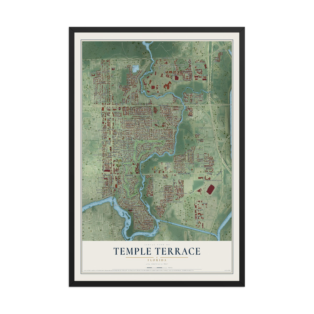 Temple Terrace, Florida map print, 12" x 18" W/ Black Ayous Wood Frame mockup