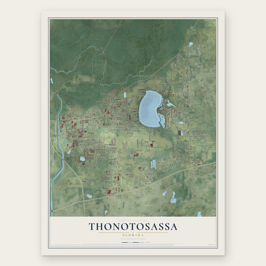 Thonotosassa, Florida map print, the full design