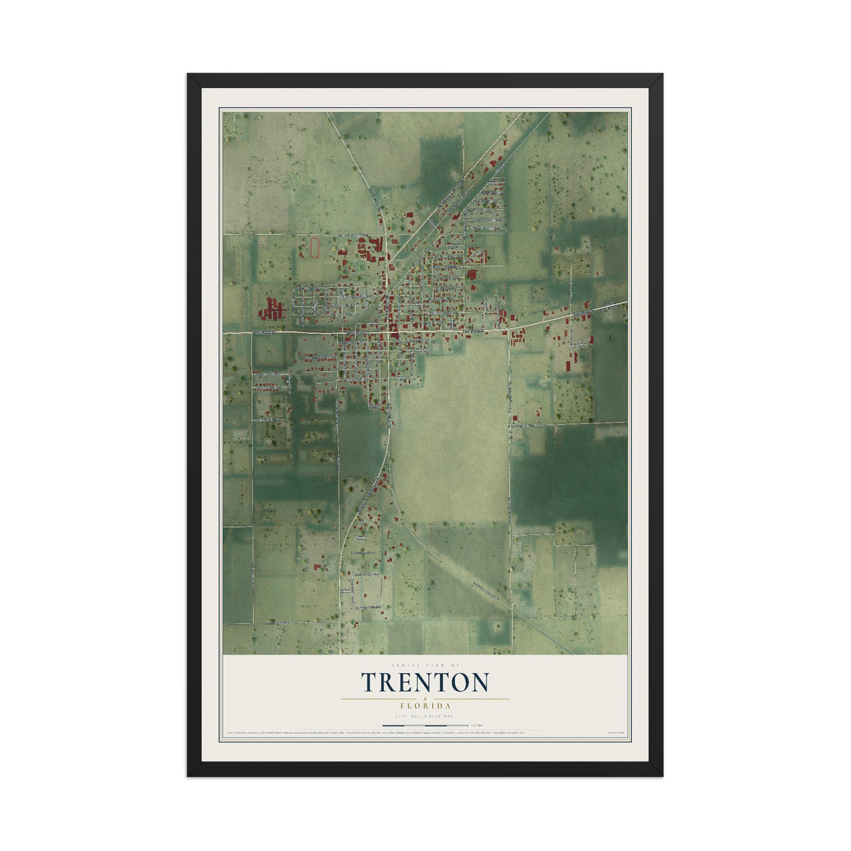 Trenton, Florida map print, 12" x 18" W/ Black Ayous Wood Frame mockup