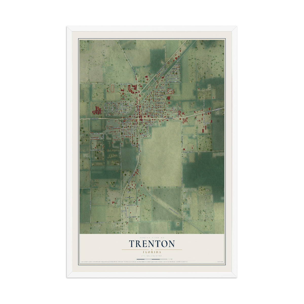 Trenton, Florida map print, 12" x 18" W/ White Ayous Wood Frame mockup