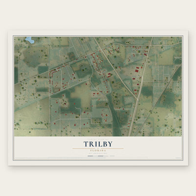 Trilby, Florida map print, the full design