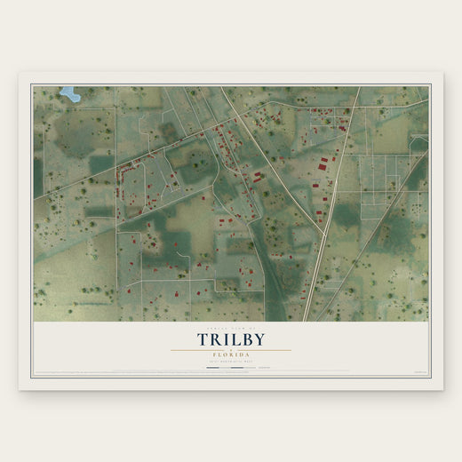 Trilby, Florida map print, the full design