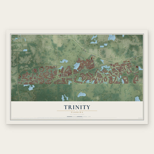 Trinity, Florida map print, the full design