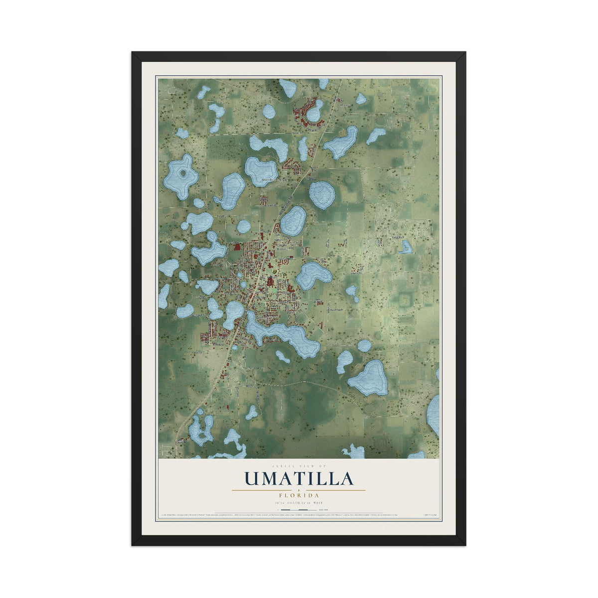 Umatilla, Florida map print, 12" x 18" W/ Black Ayous Wood Frame mockup