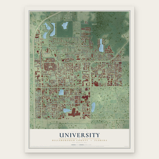 University, Hillsborough County, Florida map print, the full design
