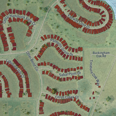 Close-up of the map of Verandah, Florida print showing street and building detail