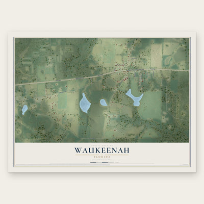 Waukeenah, Florida map print, the full design