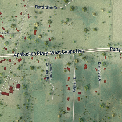 Close-up of the map of Waukeenah, Florida print showing street and building detail