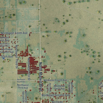 Close-up 1 of the Webster, Florida map artwork