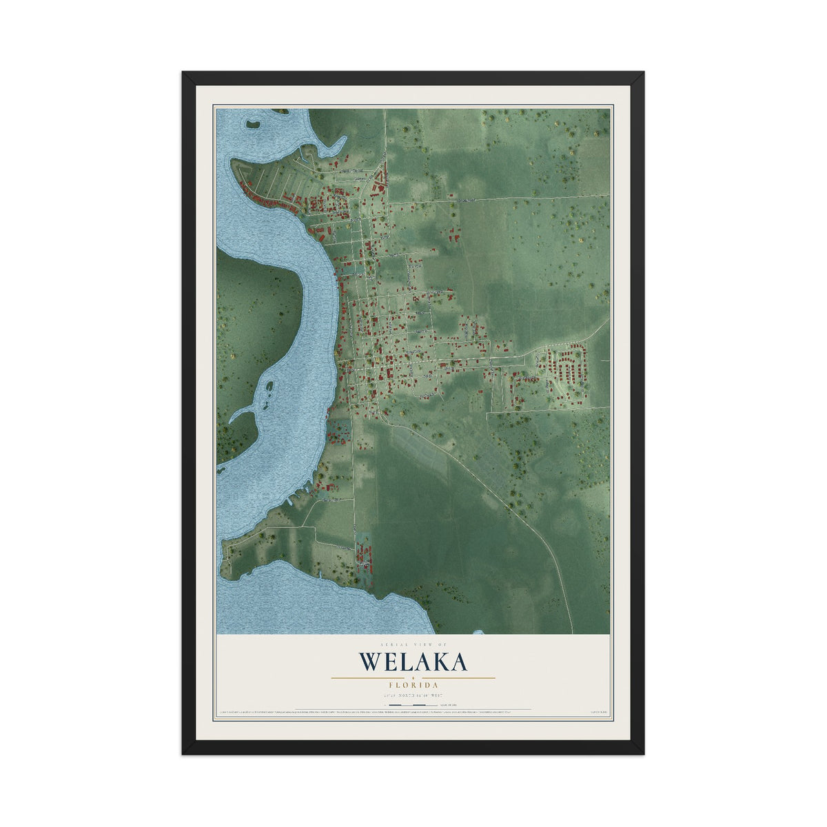 Welaka, Florida map print, 12" x 18" W/ Black Ayous Wood Frame mockup