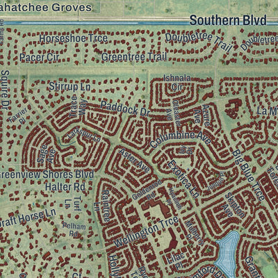 Close-up 1 of the Wellington, Florida map artwork
