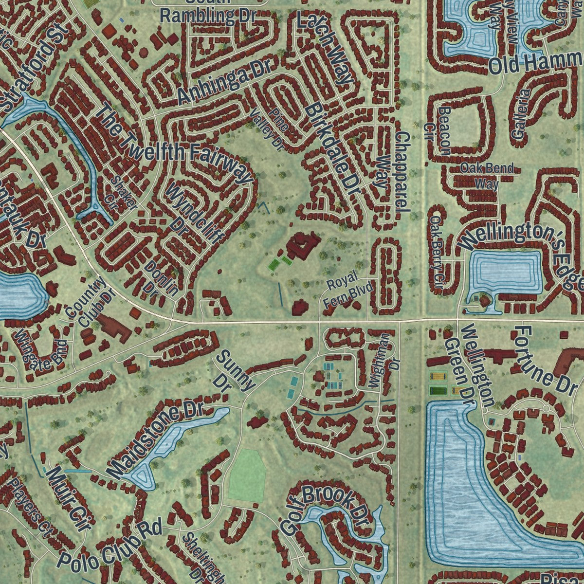 Close-up 2 of the Wellington, Florida map artwork