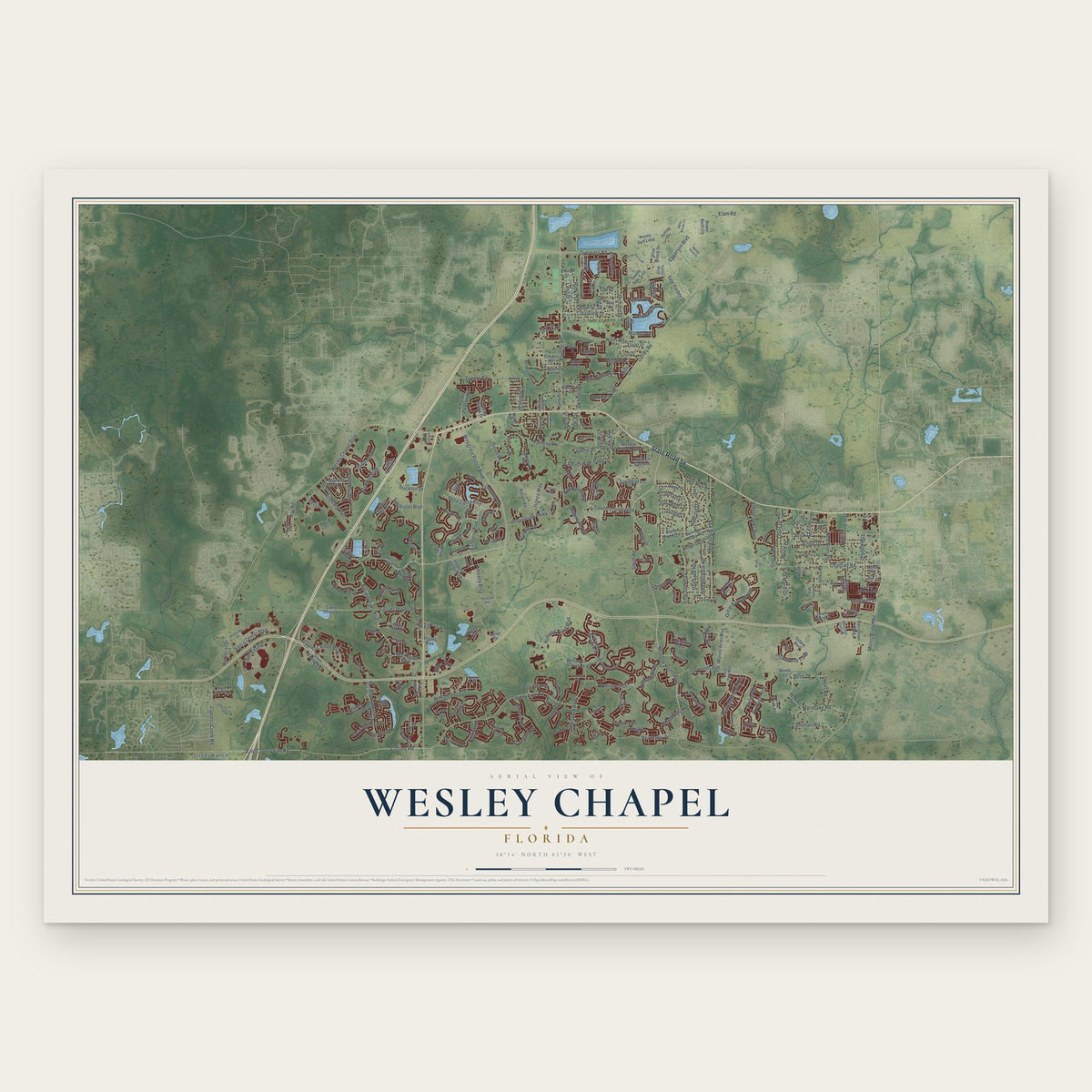 Wesley Chapel, Florida map print, the full design
