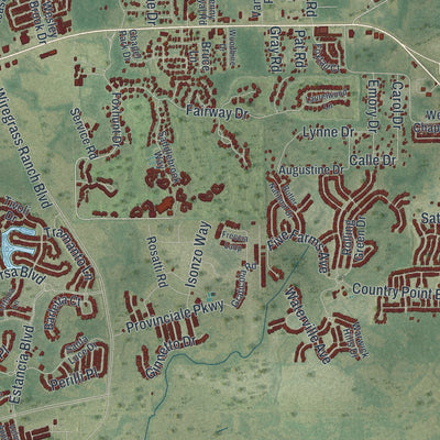 Close-up of the map of Wesley Chapel, Florida print showing street and building detail