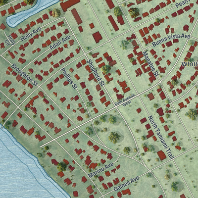 Close-up of the map of Whitfield, Florida print showing street and building detail