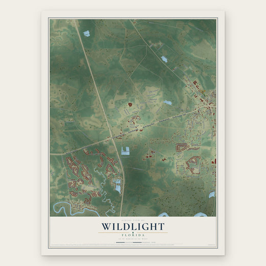 Wildlight, Florida map print, the full design