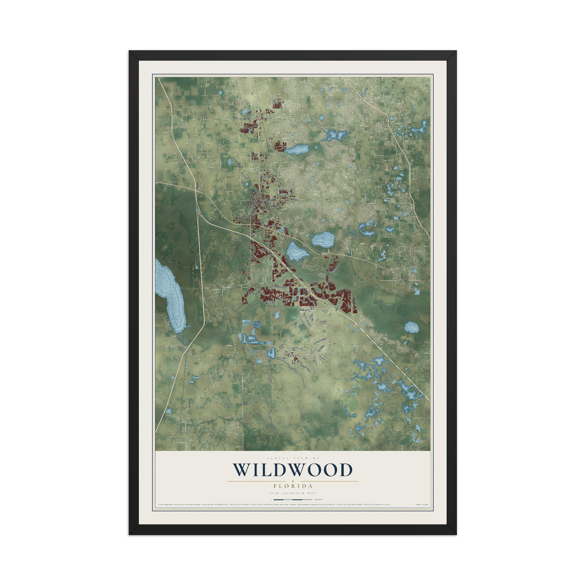 Wildwood, Florida map print, 12" x 18" W/ Black Ayous Wood Frame mockup