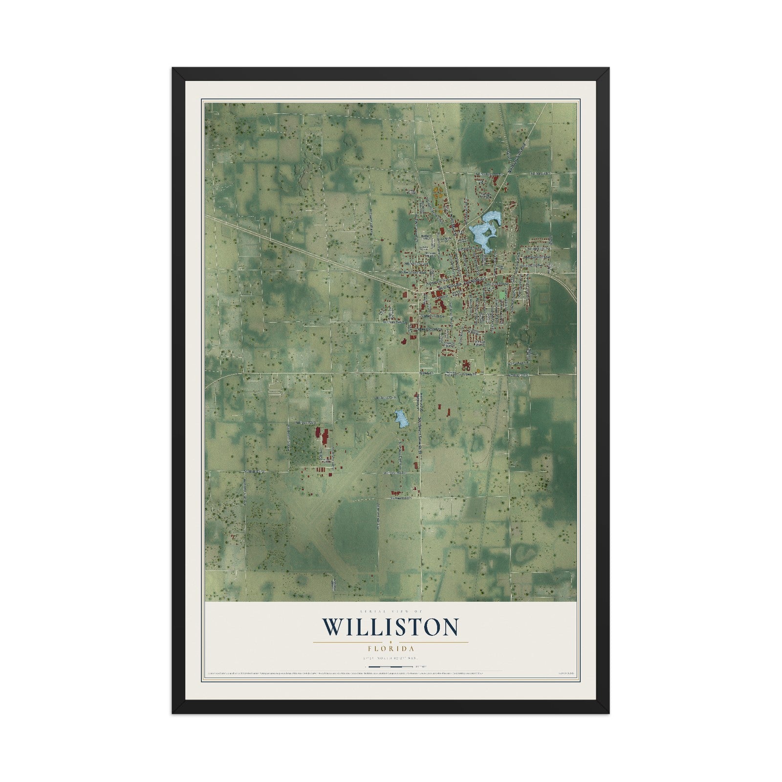 Williston, Florida map print, 12" x 18" W/ Black Ayous Wood Frame mockup