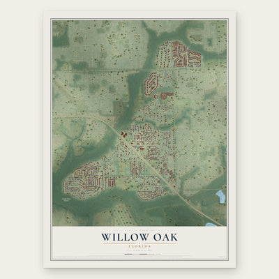 Willow Oak, Florida map print, the full design