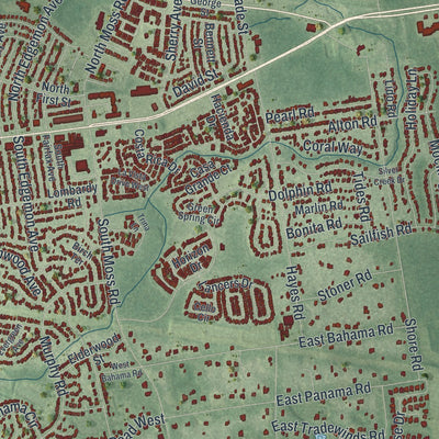 Close-up 1 of the Winter Springs, Florida map artwork