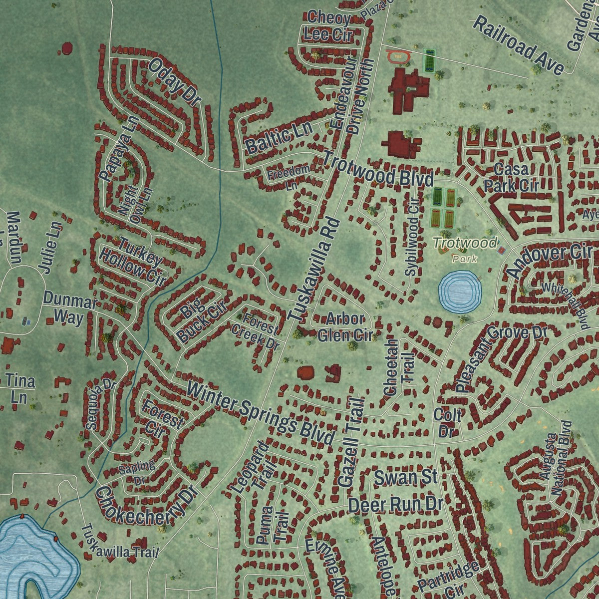 Close-up 2 of the Winter Springs, Florida map artwork