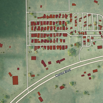 Close-up of the map of Wiscon, Florida print showing street and building detail