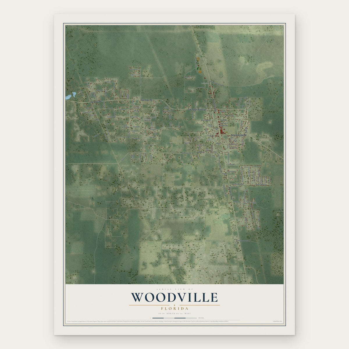 Woodville, Florida map print, the full design