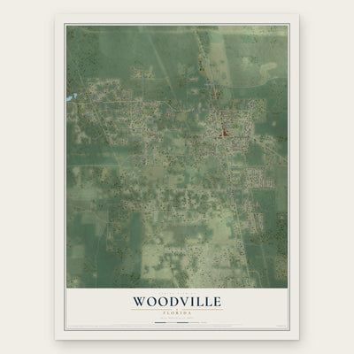 Woodville, Florida map print, the full design