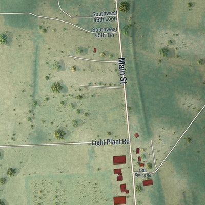 Close-up 2 of the Worthington Springs, Florida map artwork