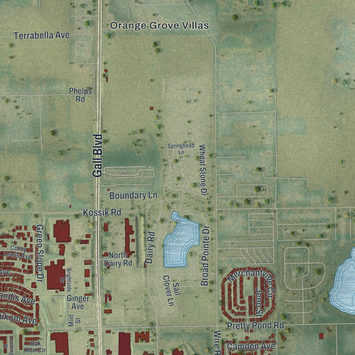 Close-up 2 of the Zephyrhills, Florida map artwork