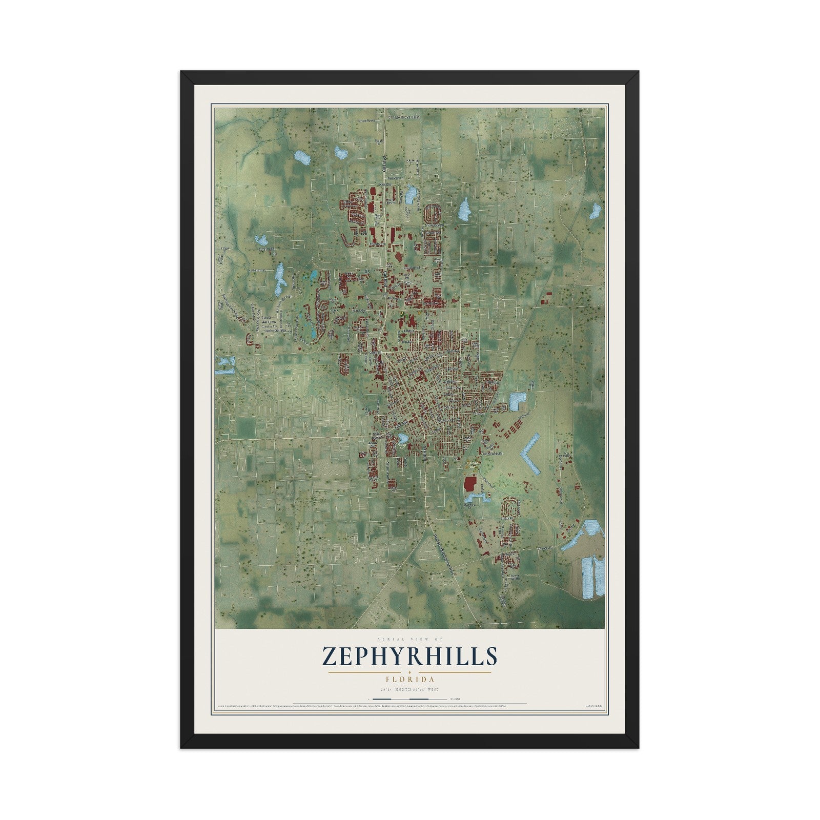 Zephyrhills, Florida map print, 12" x 18" W/ Black Ayous Wood Frame mockup