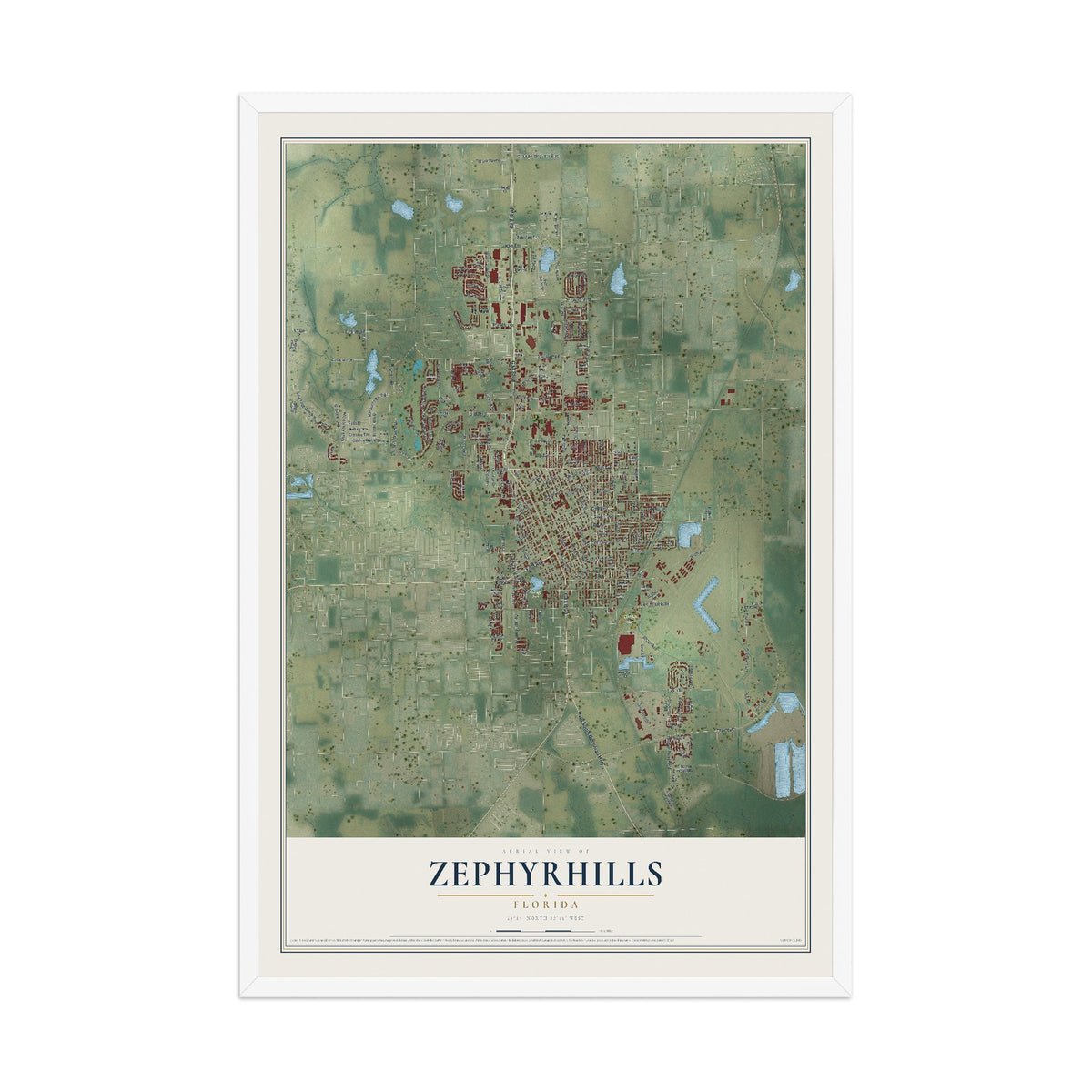 Zephyrhills, Florida map print, 12" x 18" W/ White Ayous Wood Frame mockup