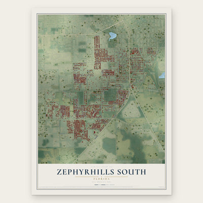 Zephyrhills South, Florida map print, the full design