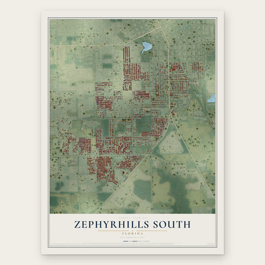 Zephyrhills South, Florida map print, the full design