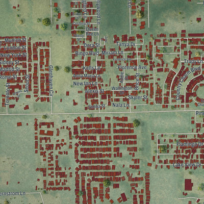 Close-up of the map of Zephyrhills South, Florida print showing street and building detail